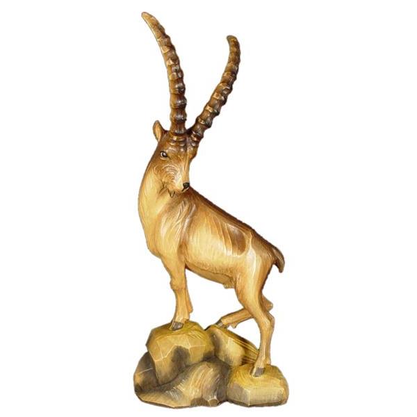 Ibex in linden - wood - color