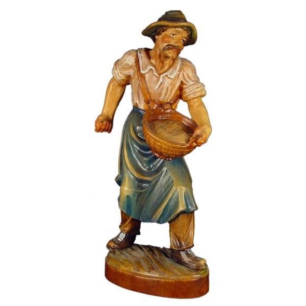 Sower in pine - color