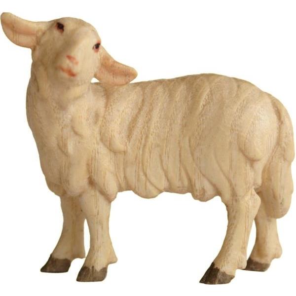 Sheep standing upright - Acquarel