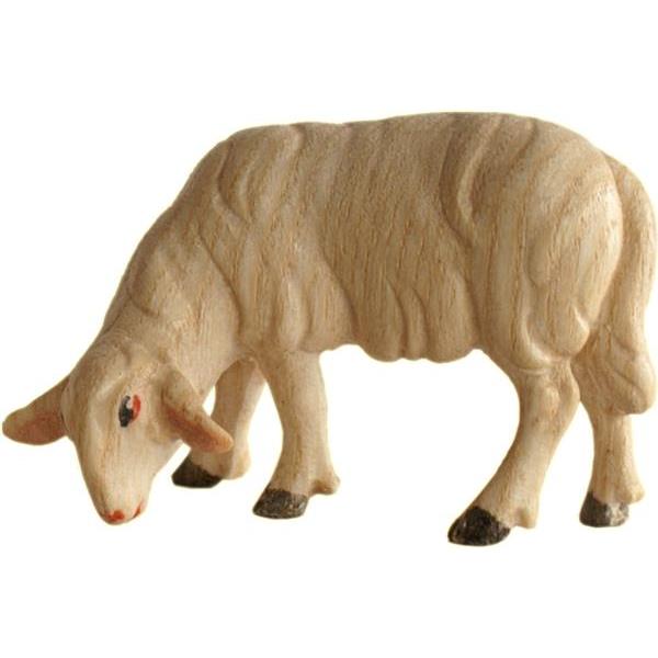 Sheep browsing - Acquarel