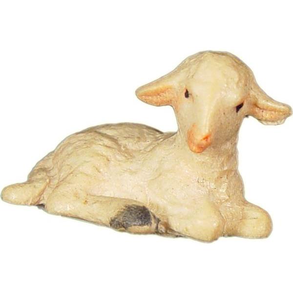 Lamb laying - Acquarel