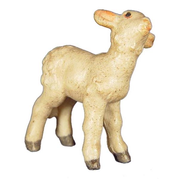 Lamb standing - Acquarel