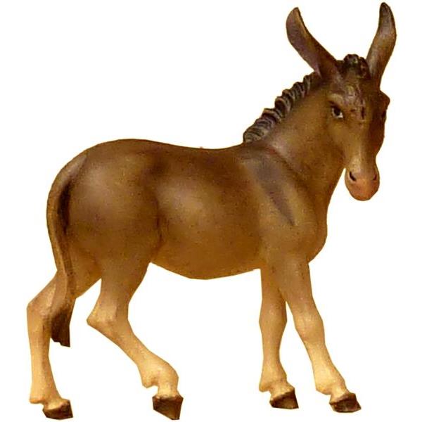 Donkey - color