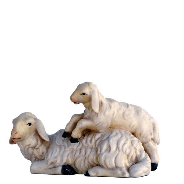 Sheep sleeping with Lamb - natural