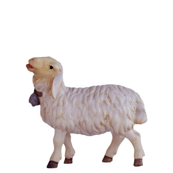 Sheep that bleats - natural
