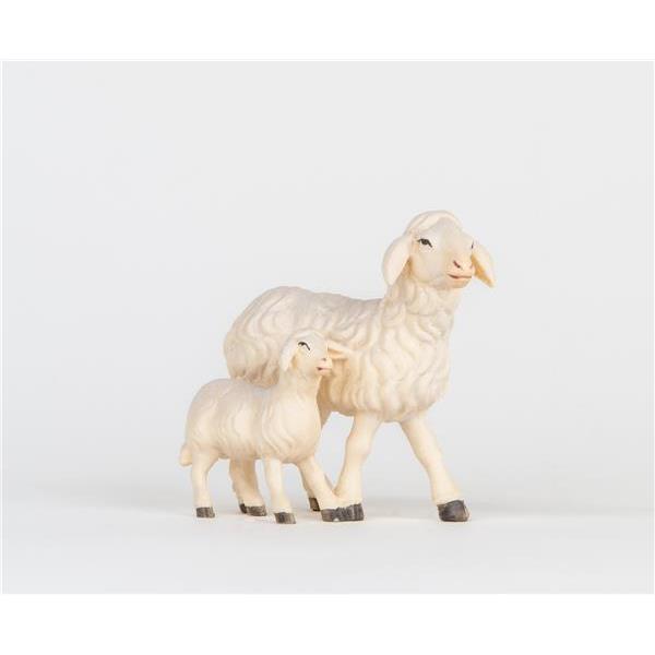 Sheep with Lamb - color