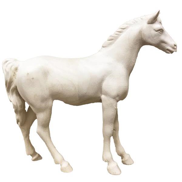 White horse - natural