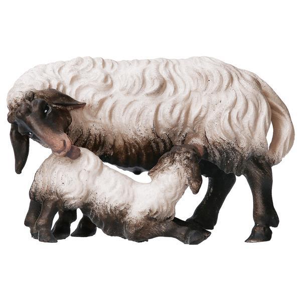 SH Sheep with suckling lamb head black - color
