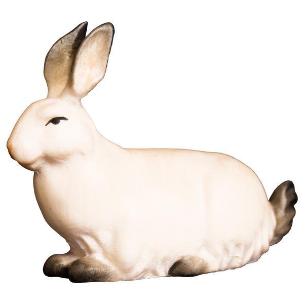 SA Rabbit - color