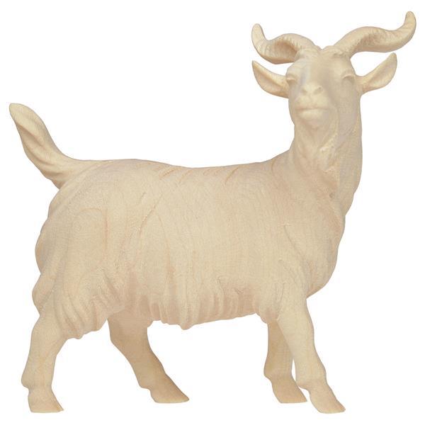 CO He-Goat - natural