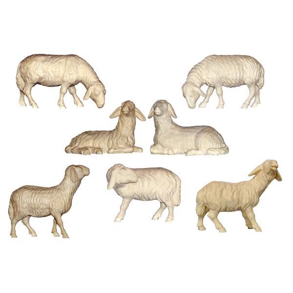 Set 6 Schafe Esche - natural
