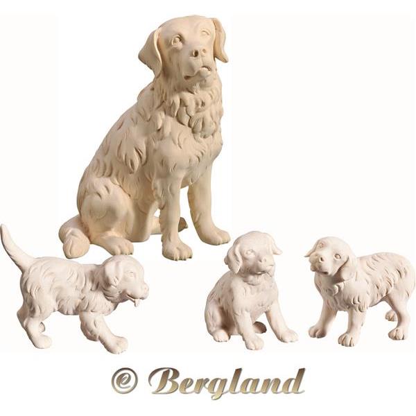 Golden Retriever with puppies (4 pieces) - natural