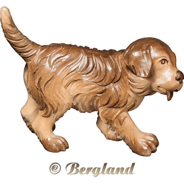 Saint Bernard puppy - hued multicolor Linden
