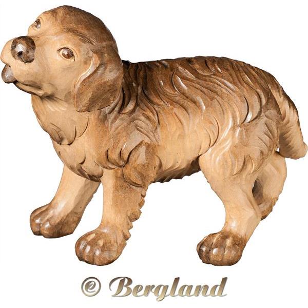 Saint Bernard puppy - hued multicolor Linden