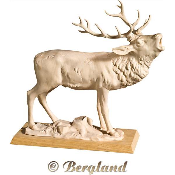 Stag belling - natural