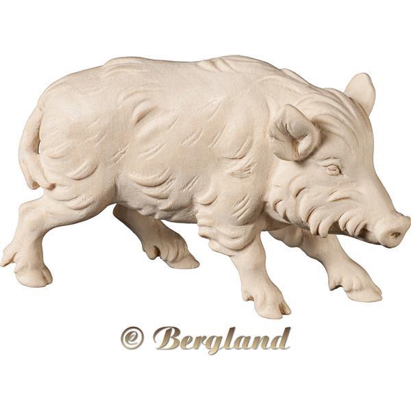 Wild boar sow - natural