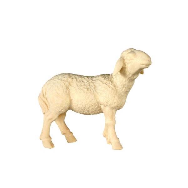 Sheep standing baroque crib n.b. - natural